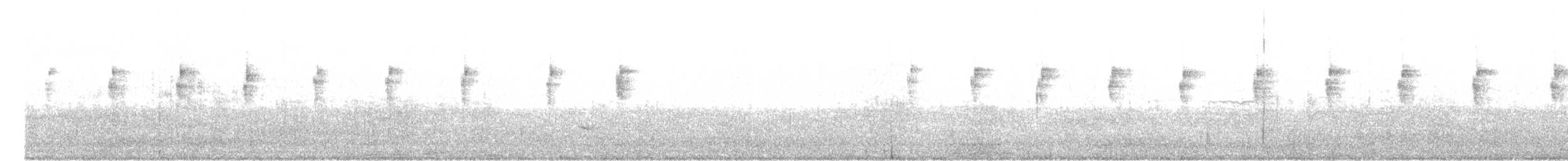 Glanz-Veilchenohrkolibri - ML541350191