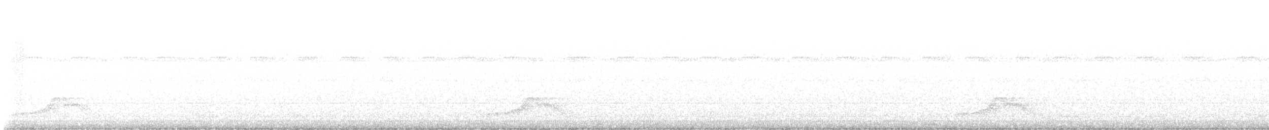 Common Pauraque - ML541382721