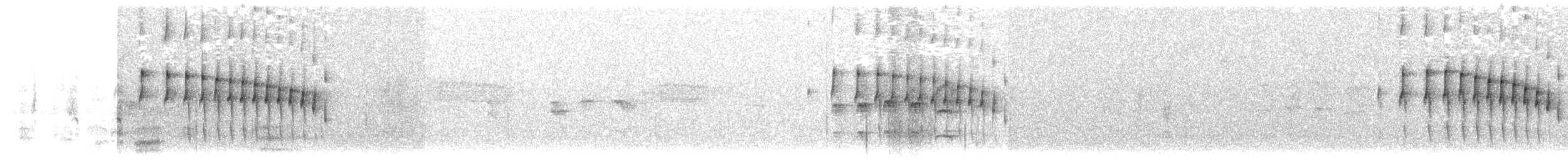 Santa Marta Bromelid Dikenkuyruğu - ML541397081