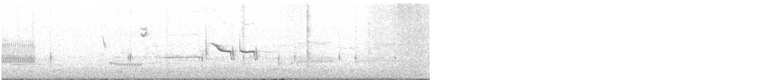 White-crowned Sparrow - ML541472541