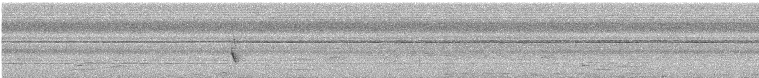 Kara Kanatlı Sinekkapan Vanga - ML541476321