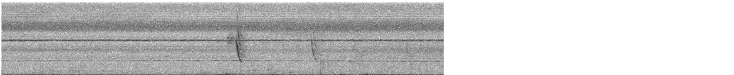Kara Kanatlı Sinekkapan Vanga - ML541476821