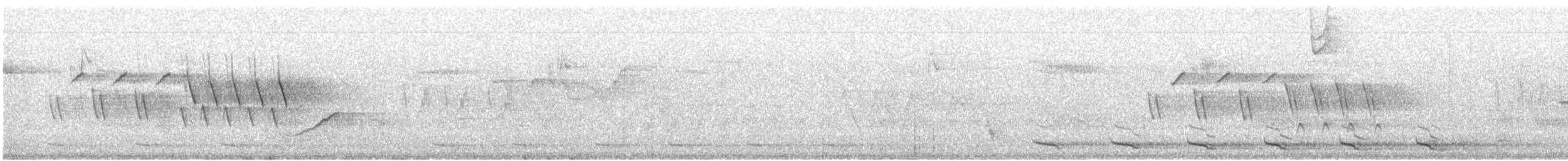 Рыжеспинный юнко (phaeonotus/palliatus) - ML541505301