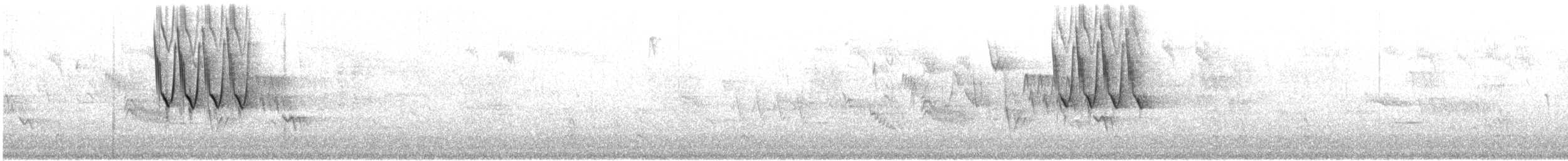 Тауї плямистий x окаї - ML541505971
