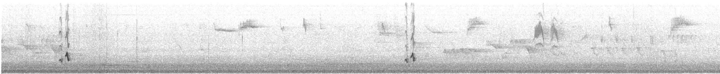 Gray Silky-flycatcher - ML541529271