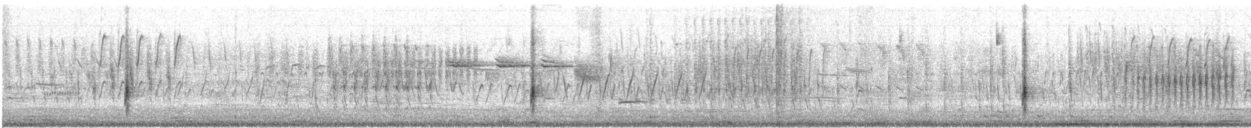 vlhovec červenokřídlý (ssp. gubernator) - ML541534991