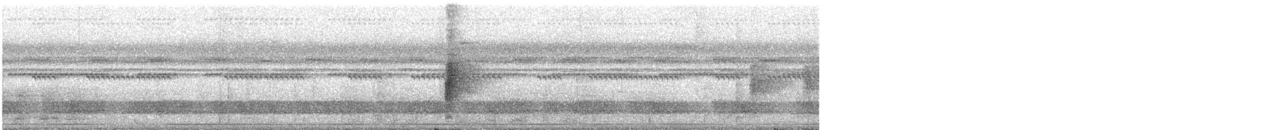 Ошейниковая веерохвостка - ML541536571