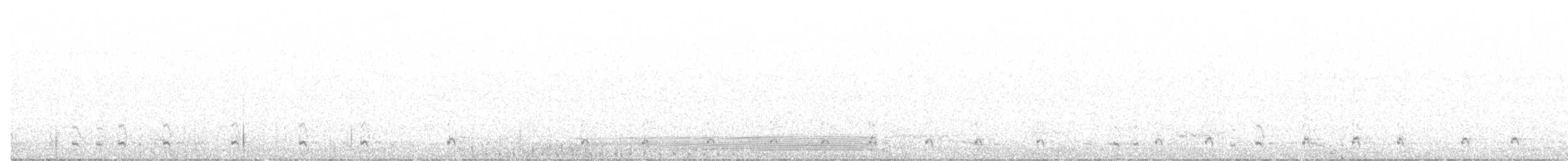 Black-tailed Godwit - ML541539681