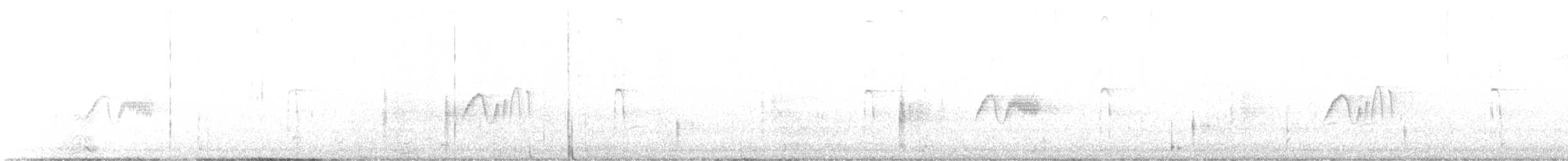 Светлобрюхий фиби - ML541541921