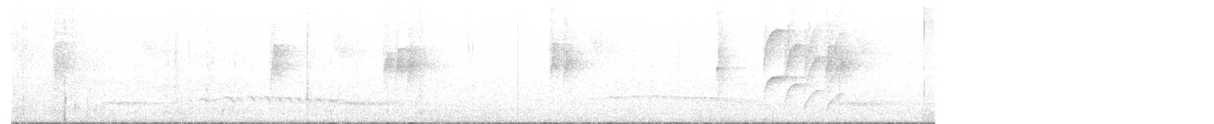Пилоклювый колибри-отшельник - ML541553381