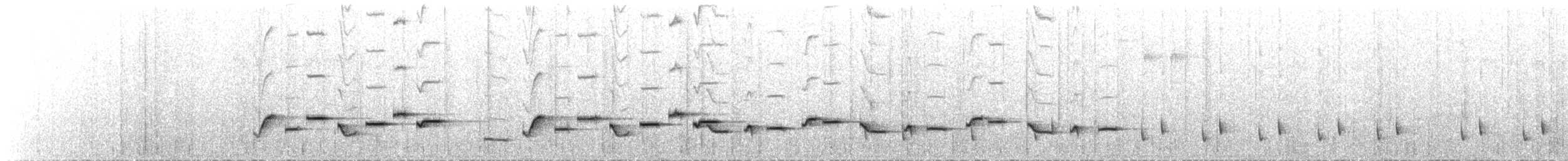 Troglodyte de Negret - ML54156501