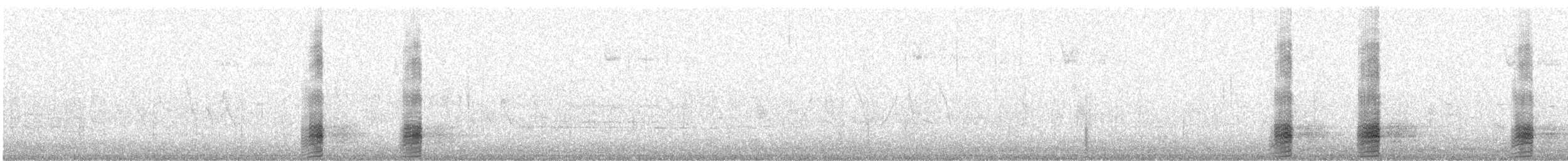 Schnatterente - ML54157021