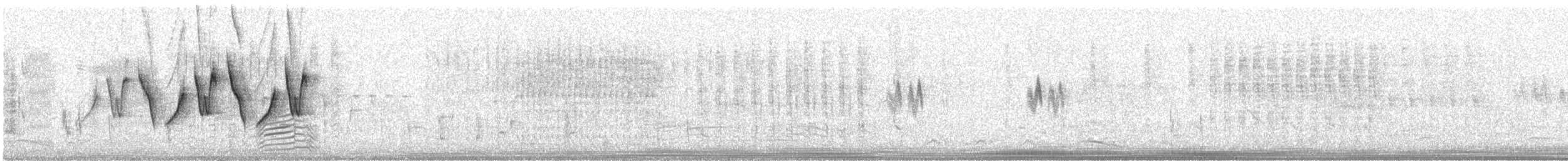 Common Yellowthroat - ML54157401