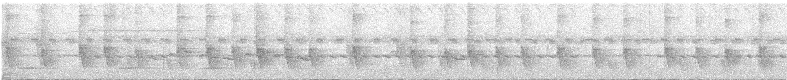 tøylebørstebylbyl (notatus) - ML541580871