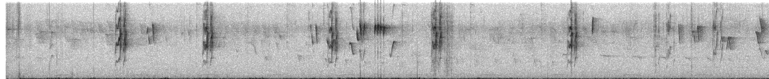 grønnbrillet spurvepapegøye - ML541606641