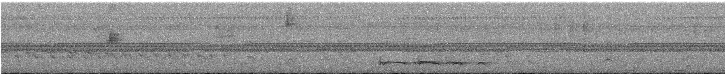Лінивка-смугохвіст плямистобока - ML541607301