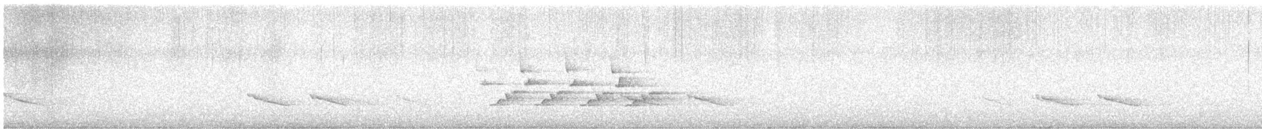 Каролинский крапивник - ML541619541