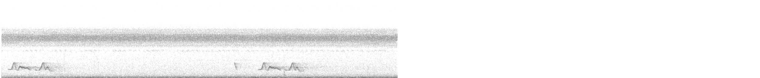 Chuck-will's-widow - ML541627291