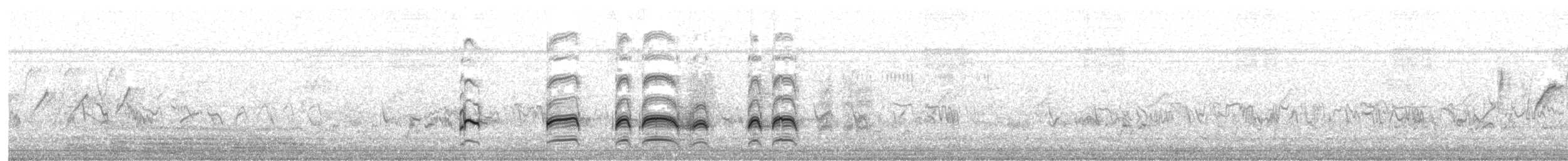 Black Francolin - ML541757081