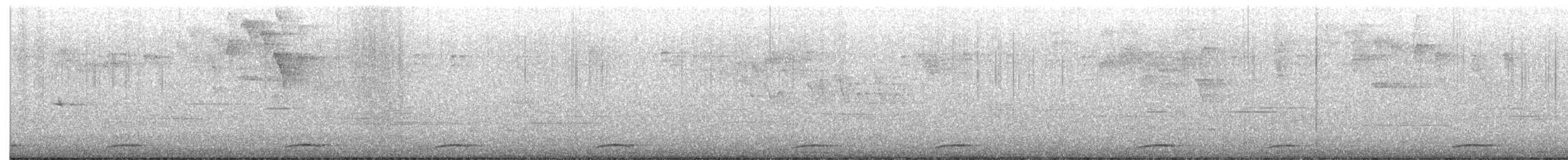 セアカウズラバト - ML541893511