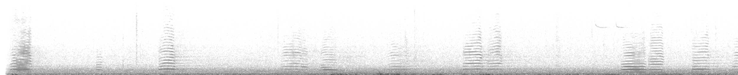 Cisne Trompetero - ML541919971