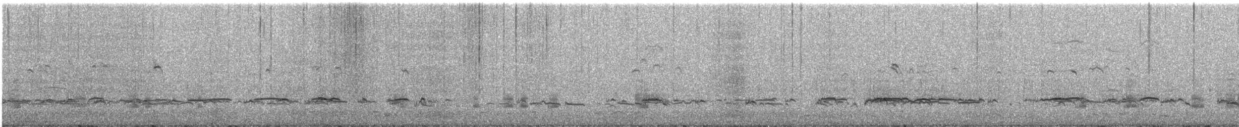 Green-winged Teal (American) - ML541996281