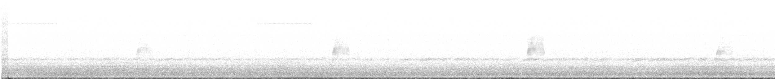 Bécasse d'Amérique - ML542014831