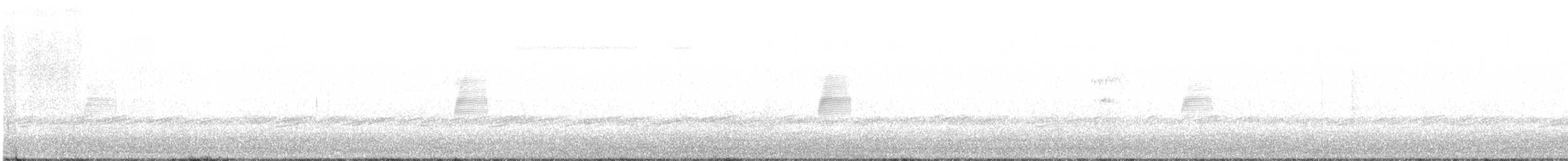 Bécasse d'Amérique - ML542015161