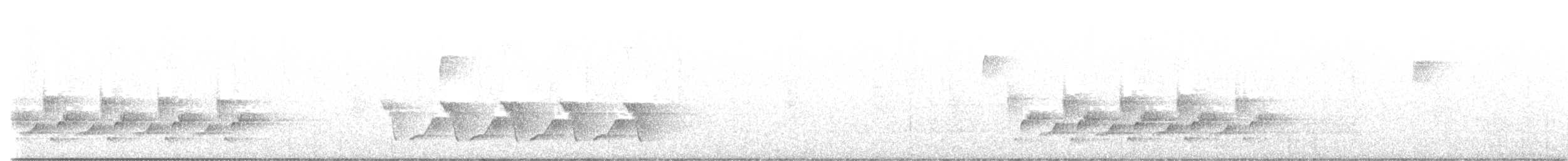 Troglodyte de Caroline - ML542035261