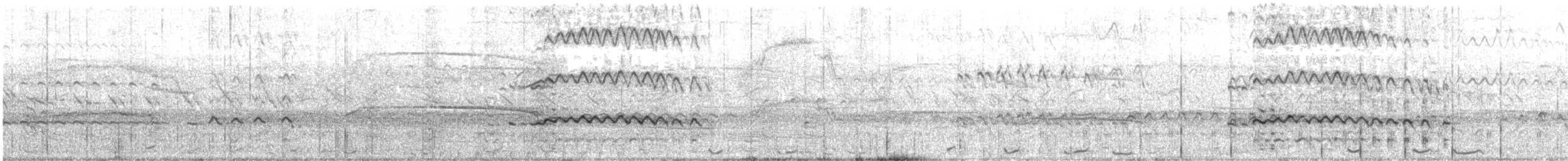 Laysan Albatross - ML542046581