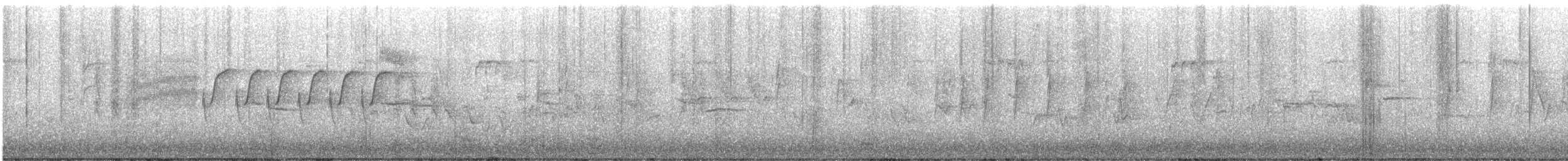 Troglodyte de Bewick - ML542091031