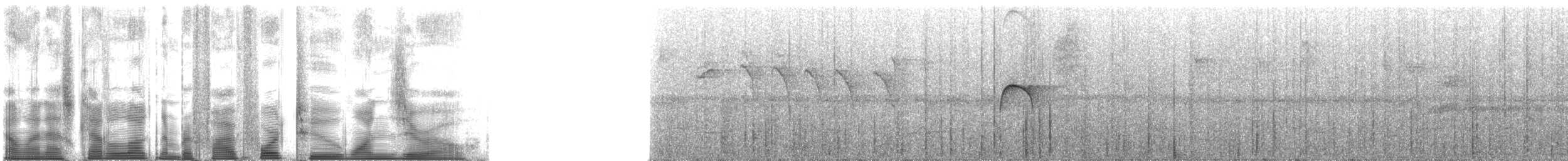 Kuzey Sorguçlu Sinekkapan (aurantiiventris) - ML54210