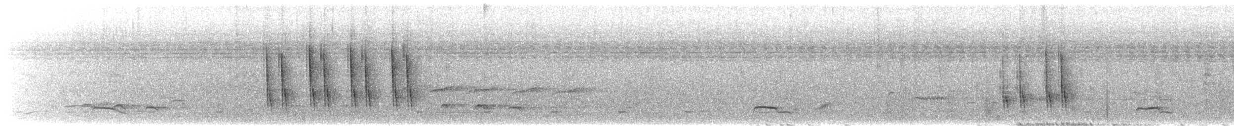Camaroptère à tête grise (groupe brevicaudata) - ML542175281