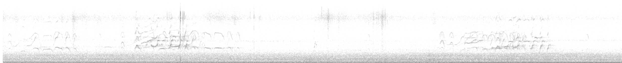 Kara Karınlı Islıkçı Ördek - ML542179841