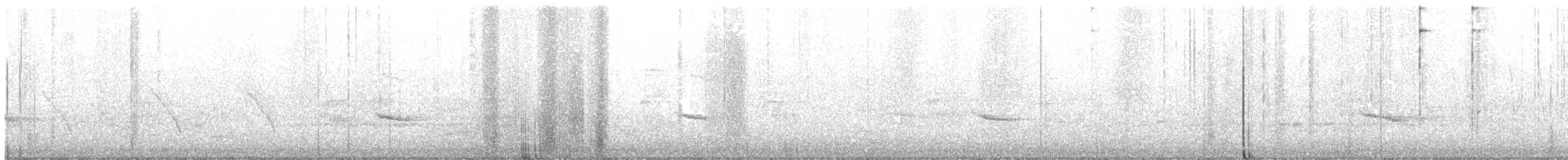 Hermit Thrush - ML542183381