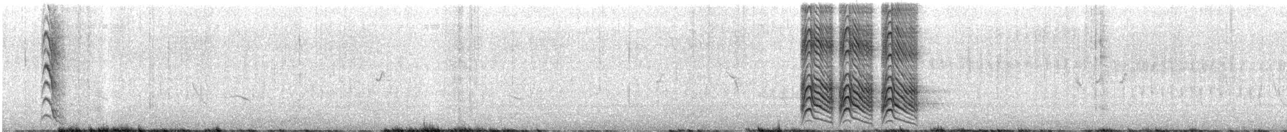 Кратеропа рябогруда - ML542220471
