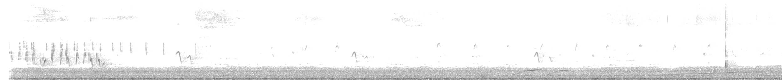 Striated Grassbird - ML542243201