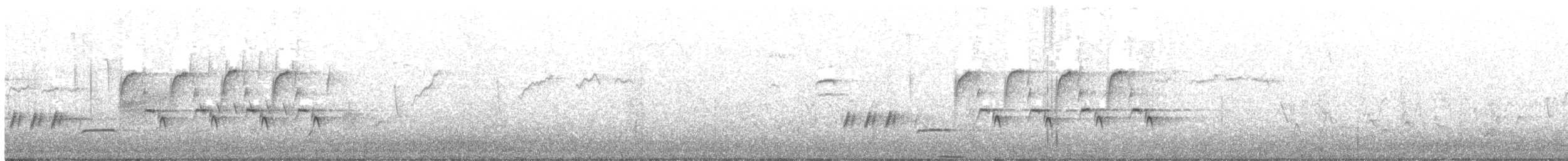Troglodyte de Bewick - ML54225561