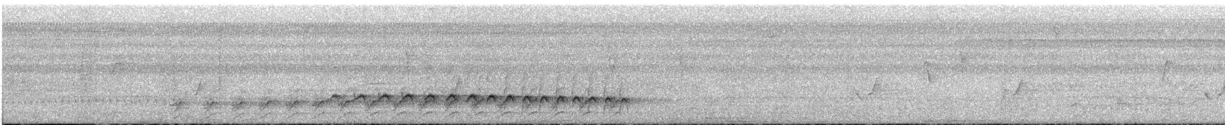Black-tailed Antbird - ML542280201