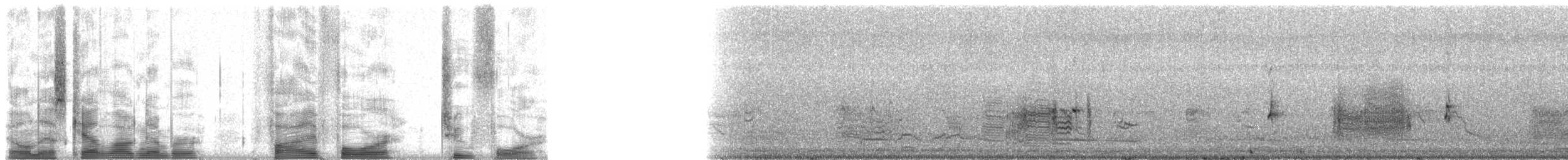 svartdrongo - ML5424