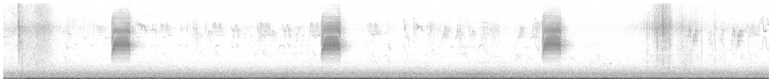 sluka americká - ML542435461