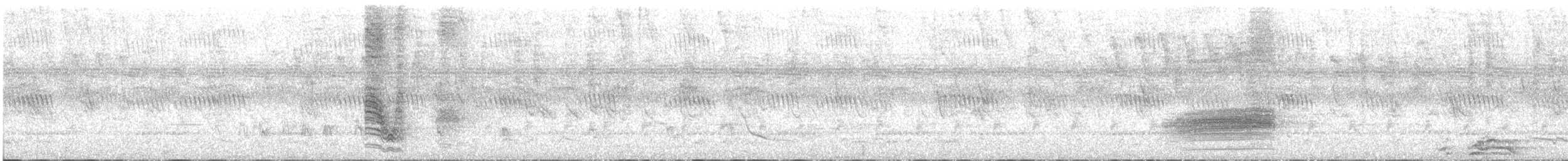 Bubú Montano Occidental (poensis) - ML542522051