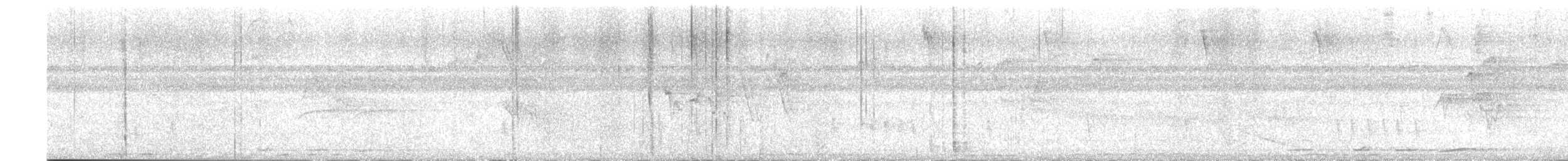 Short-billed Pigeon - ML542523351