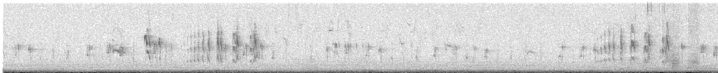 Tumbesian Tyrannulet - ML542551751