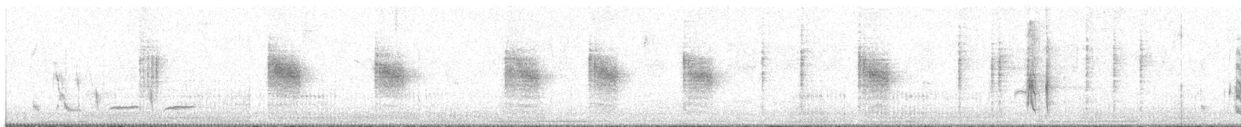 Tumbesian Tyrannulet - ML542551761