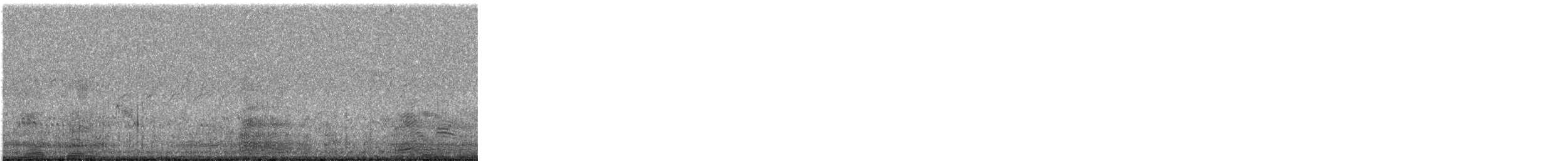 Western Reef-Heron - ML542559461