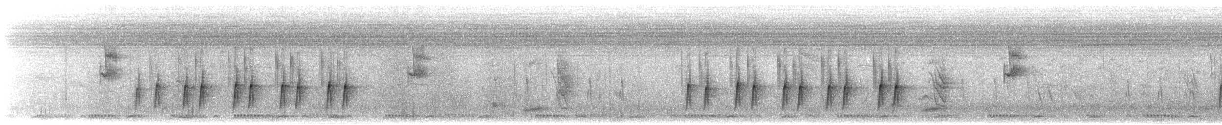Camaroptère à tête grise (groupe brevicaudata) - ML542597371