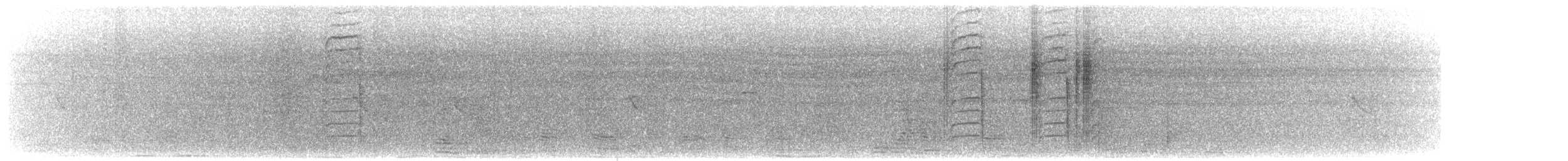 Camaroptère à tête grise (groupe brevicaudata) - ML542719661