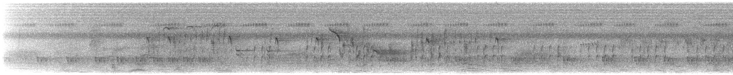 ハシブトハタオリ - ML542747881