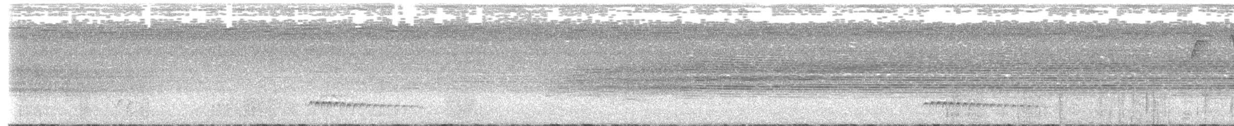 Tüpfelkronen-Ameisenvogel - ML542752731